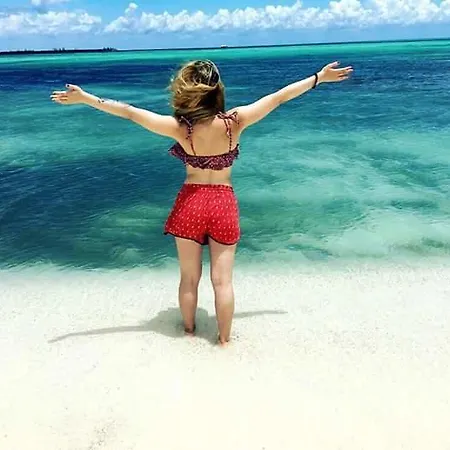 Beachouse Dive Hostel Cozumel