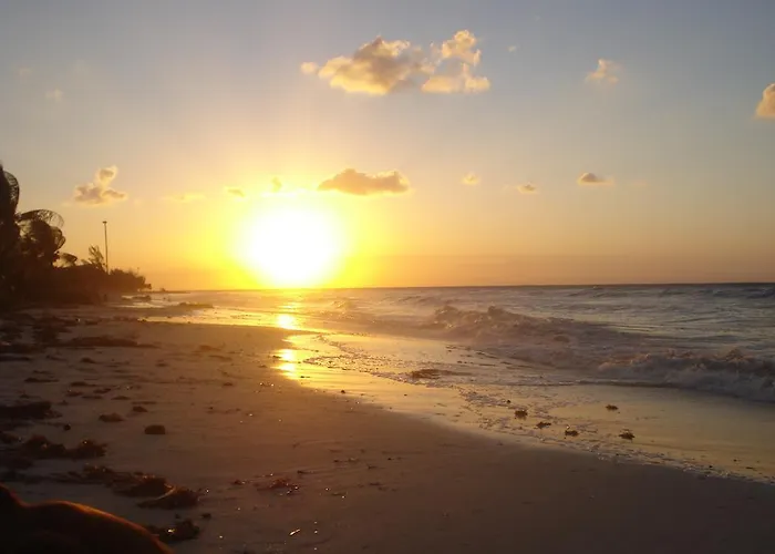 Albergue Beachouse Dive Cozumel