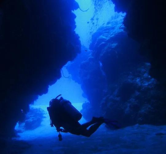 Beachouse Dive Albergue Cozumel