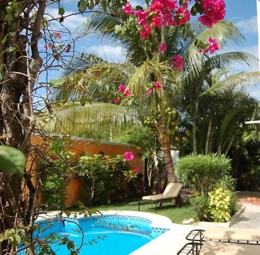 Beachouse Dive