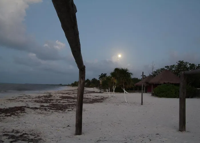 Albergue Beachouse Dive Cozumel