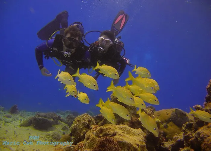 Albergue Beachouse Dive Cozumel