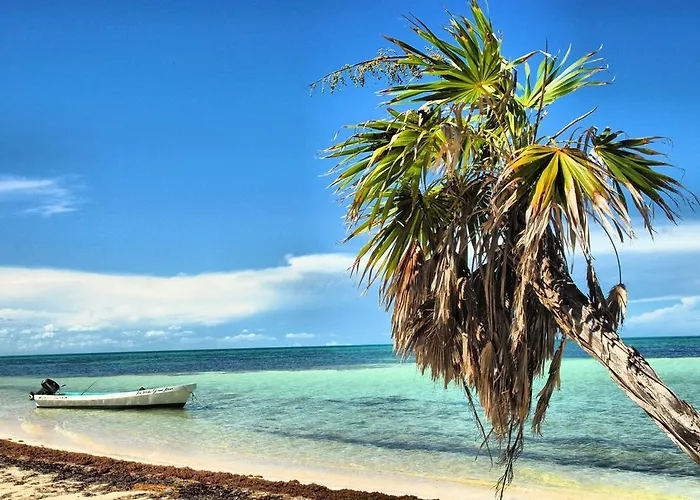 Beachouse Dive Albergue *