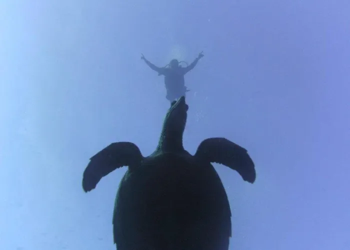 Beachouse Dive