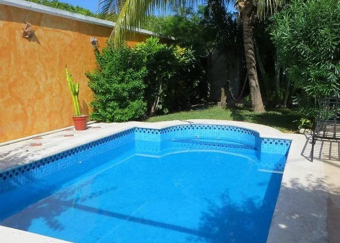 Beachouse Dive