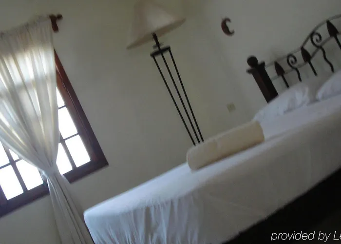 Beachouse Dive Albergue *