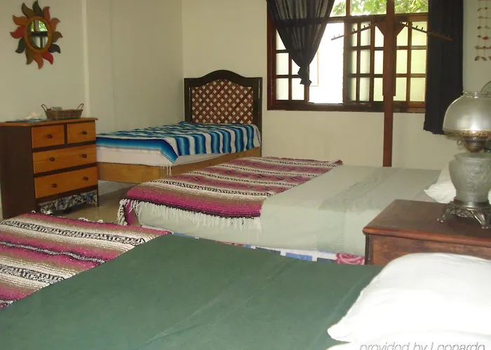 Beachouse Dive Albergue Cozumel